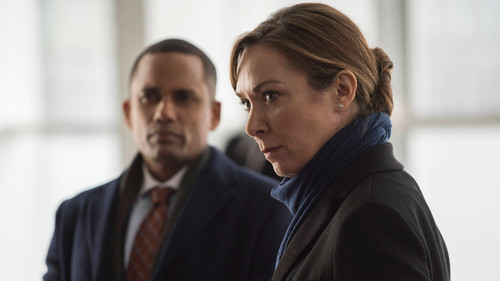 Homeland - S6E8: alt.truth