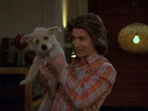 That '70s Show - S8E20: Leaving Home Ain't Easy