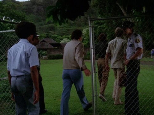 Hawaii Five-O - S12E13: School For Assassins