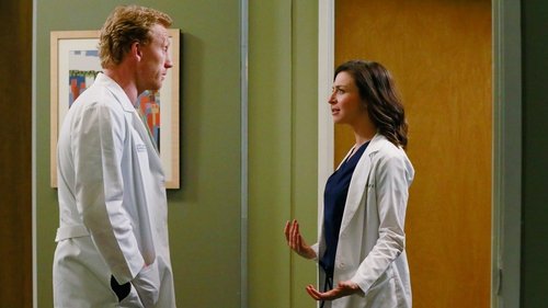 Grey's Anatomy - S11E20: One Flight Down