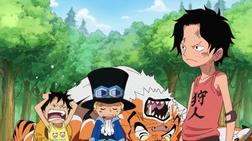 One Piece - S13E499: The Battle against the Big Tiger! Who is Going to be Captain?!