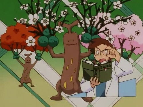 Pokémon - S4E5: Type Casting
