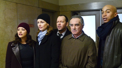 Blue Bloods - S5E15: Power Players