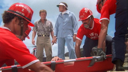 Hawaii Five-O - S9E5: Man On Fire