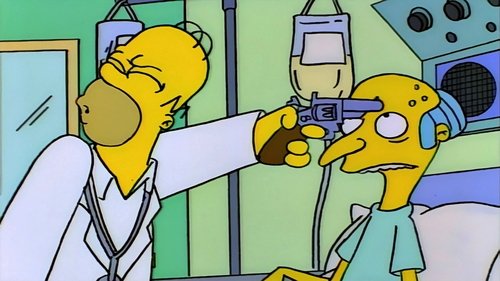 The Simpsons - S7E1: Who Shot Mr. Burns? (2)