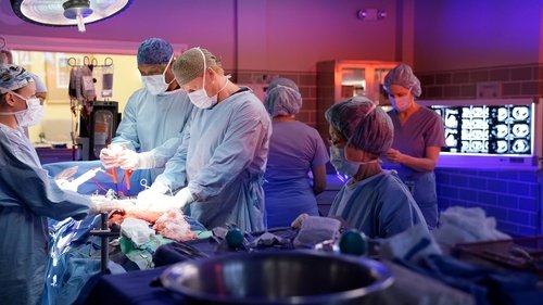 Grey's Anatomy - S13E8: The Room Where It Happens