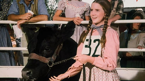 Little House on the Prairie - S5E7: Fagin