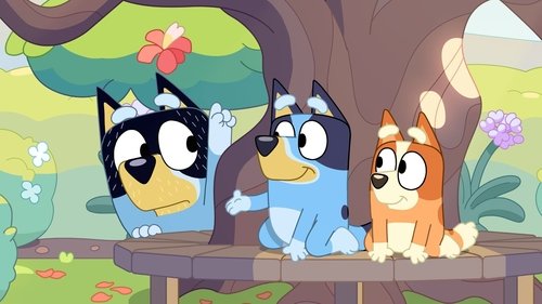 Bluey - S3E6: Born Yesterday