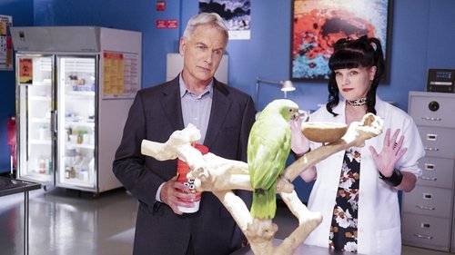 NCIS - S14E3: Privileged Information