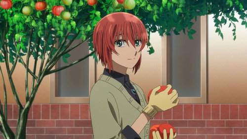 The Ancient Magus' Bride - S2E17: Gather ye rosebuds while ye may.