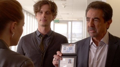 Criminal Minds - S11E2: The Witness