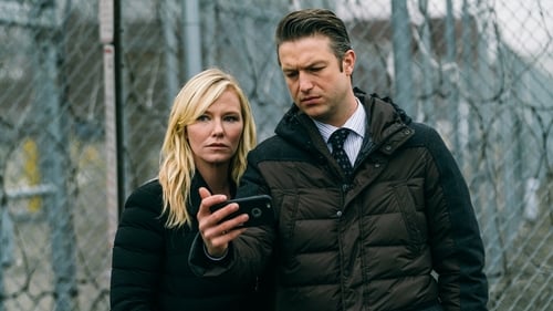 Law & Order: Special Victims Unit - S17E14: Nationwide Manhunt (I)