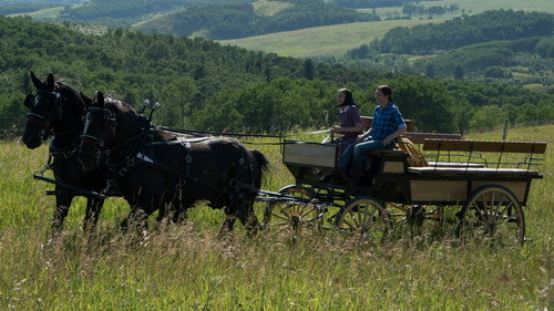 Heartland - S8E7: Walk a Mile