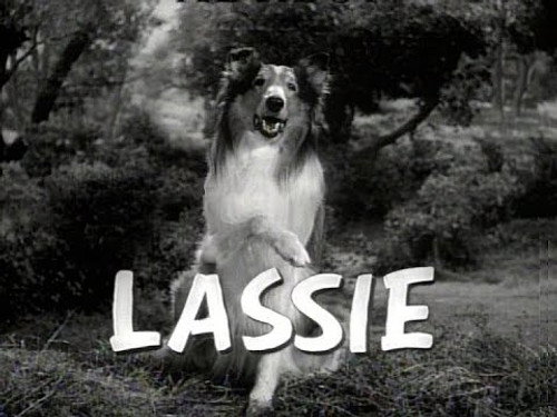 Lassie - S18E16: Peace is Our Profession (3)