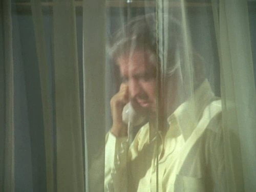 Hawaii Five-O - S5E6: Fools Die Twice