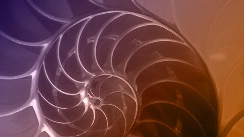 NOVA - S42E17: The Great Math Mystery
