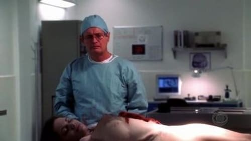 NCIS - S2E4: Lt. Jane Doe