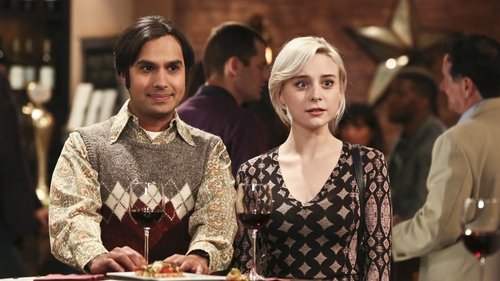 The Big Bang Theory - S9E22: The Fermentation Bifurcation