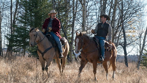 Heartland - S11E16: A Place to Call Home