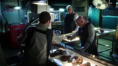 CSI: Crime Scene Investigation - S13E10: Risky Business Class