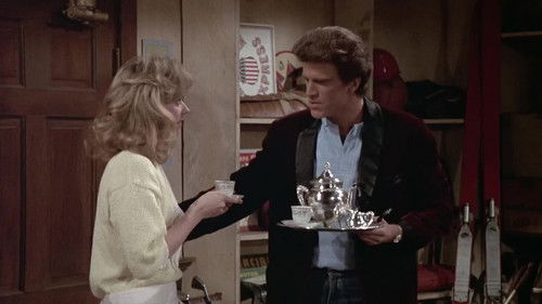Cheers - S4E5: Diane's Nightmare