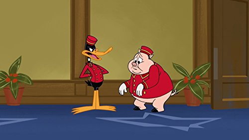 New Looney Tunes - S2E17: Love It or Survivalist It