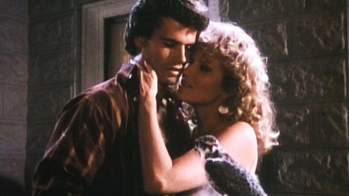 Falcon Crest - S3E16: Bitter Harvest