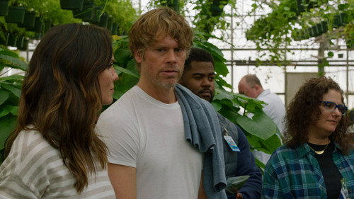 NCIS: Los Angeles - S14E18: Sensu Lato