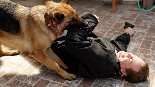 NCIS - S5E13: Dog Tags