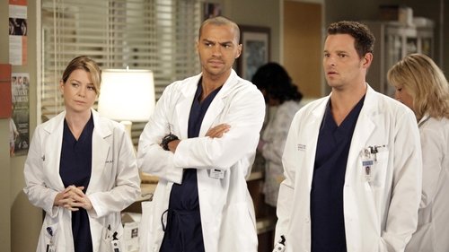 Grey's Anatomy - S9E4: I Saw Her Standing There