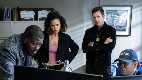 FBI: Most Wanted - S6E6: Pageantry