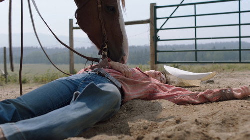 Heartland - S18E9: Leave No Trace