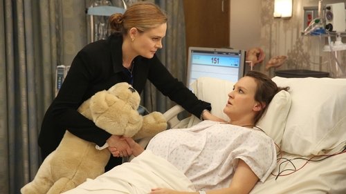 Bones - S10E8: The Puzzler in the Pit