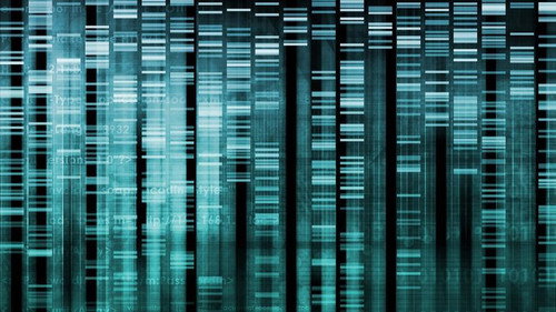 NOVA - S39E15: Cracking Your Genetic Code