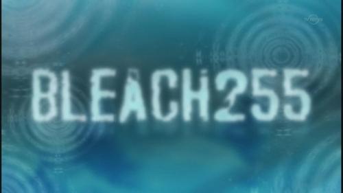 Bleach - S1E255: Final Chapter - Zanpakutō The Alternate Tale