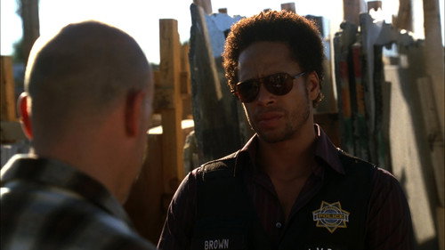 CSI: Crime Scene Investigation - S6E6: Secrets and Flies