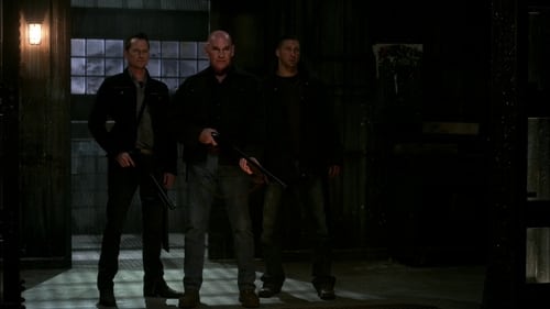 Supernatural - S6E7: Family Matters