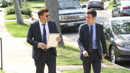 Bones - S10E20: The Woman in the Whirlpool