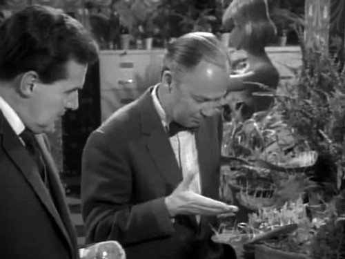 The Avengers - S4E11: Man-Eater of Surrey Green