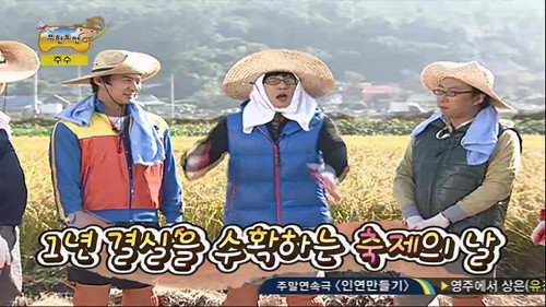 Infinite Challenge - S3E177: Infinite Challenge Long Term Project - Rice Planting Special: Part 3