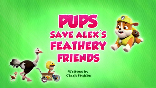 PAW Patrol - S9E30: Pups Save Alex's Feathery Friends