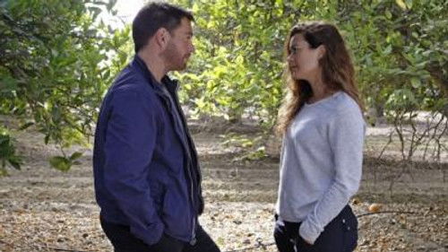 NCIS - S11E2: Past, Present, and Future