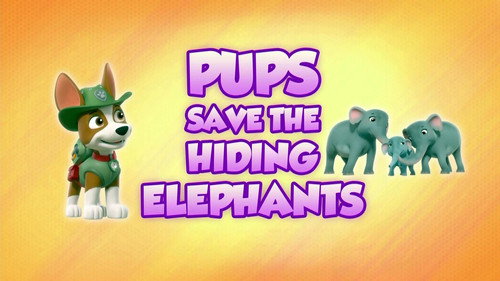 PAW Patrol - S8E18: Pups Save the Hiding Elephants
