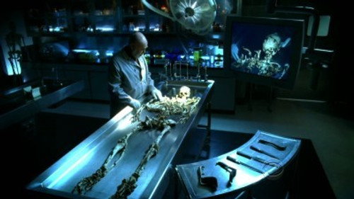 CSI: Crime Scene Investigation - S9E9: CSI-19 down