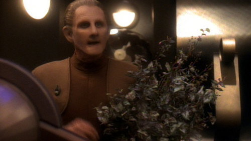 Star Trek: Deep Space Nine - S3E6: The Abandoned