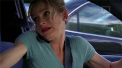 The Closer - S2E11: Borderline