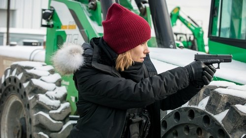 Chicago P.D. - S3E15: A Night Owl