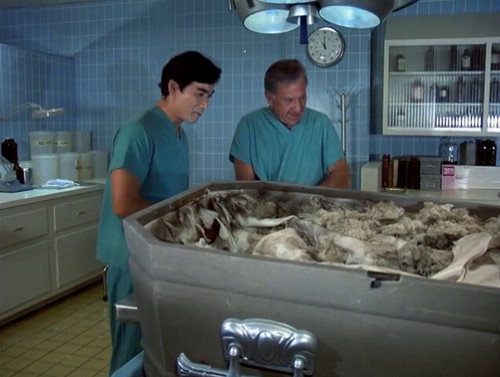 Quincy, M.E. - S5E6: Sweet Land of Liberty