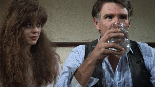 Hill Street Blues - S6E13: Das Blues