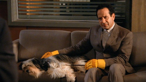Monk - S8E11: Mr. Monk and the Dog